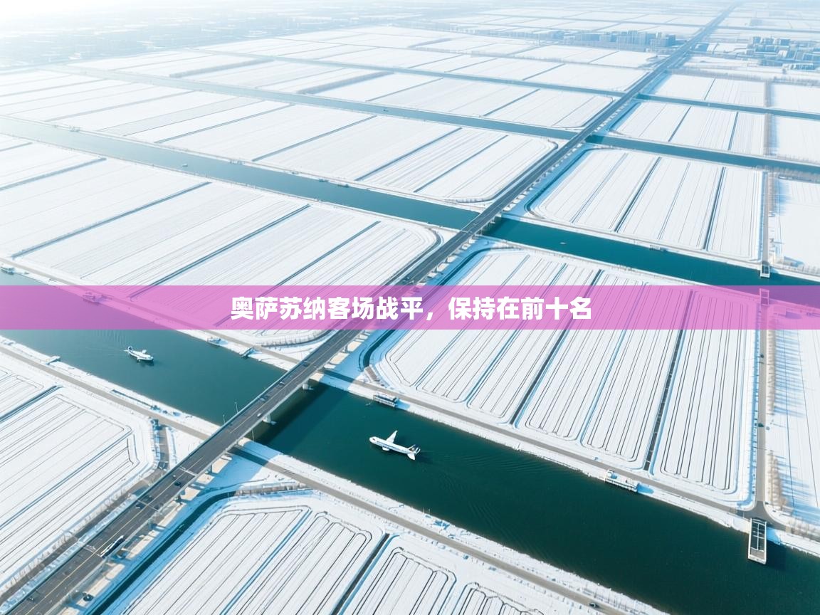 开云kaiyun体育app入口登录官网-奥萨苏纳客场战平,保持在前十名 第1张