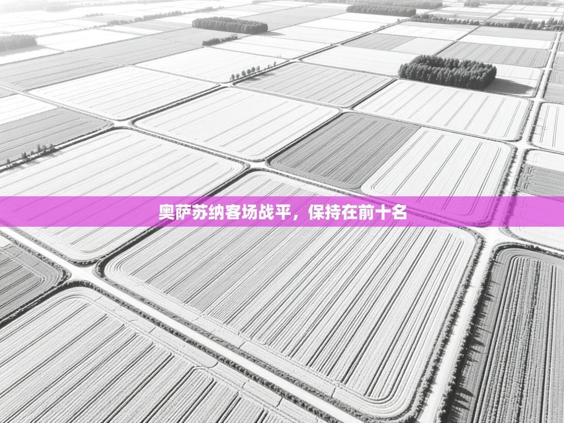 开云kaiyun体育app入口登录官网-奥萨苏纳客场战平,保持在前十名 第4张