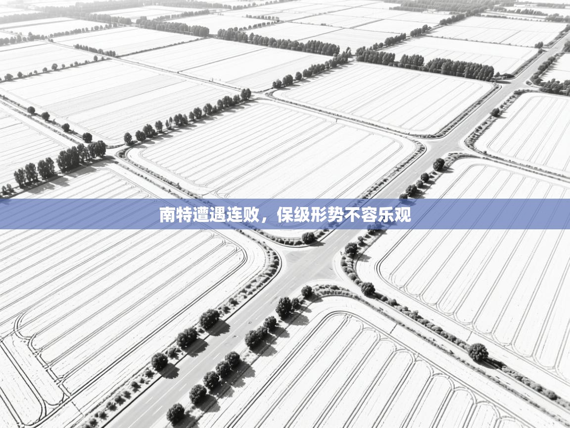 开云体育直播平台-南特遭遇连败,保级形势不容乐观 第1张